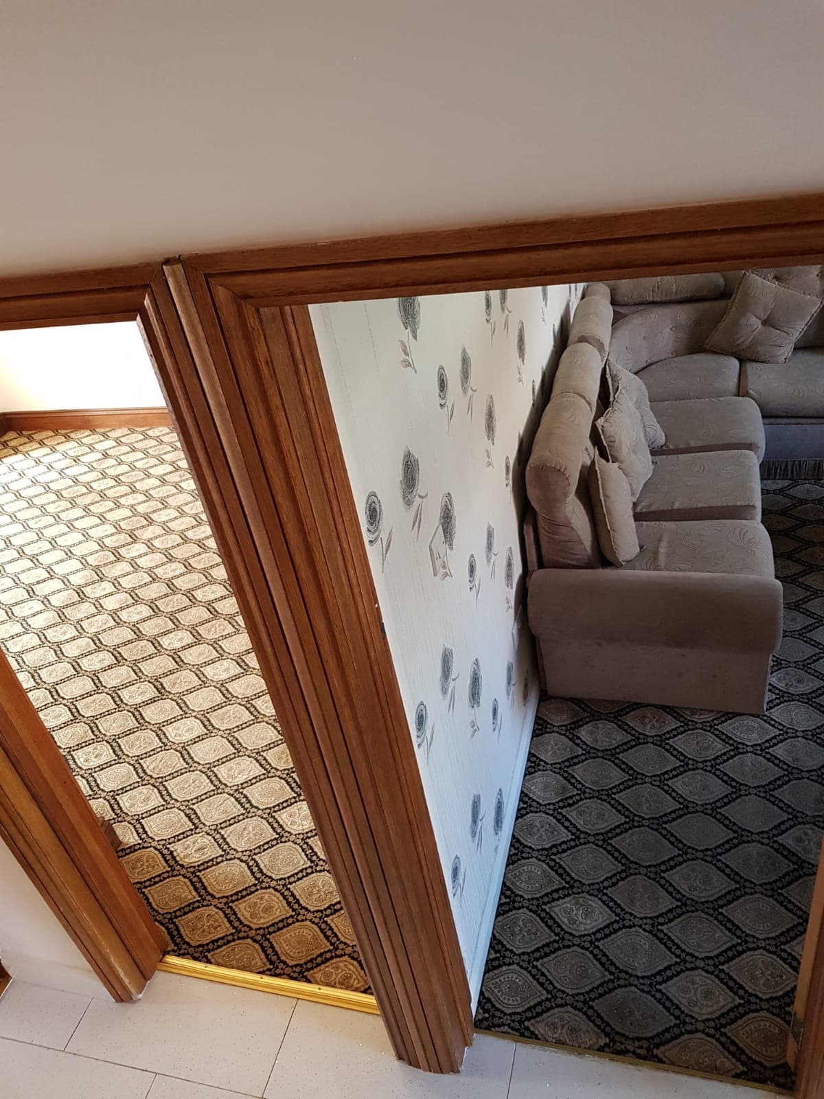 dirty carpet and clean carpet comparison